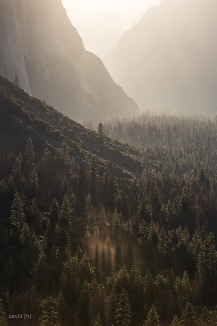 2017-07-25_yosemite2_0086-Edit.jpg
