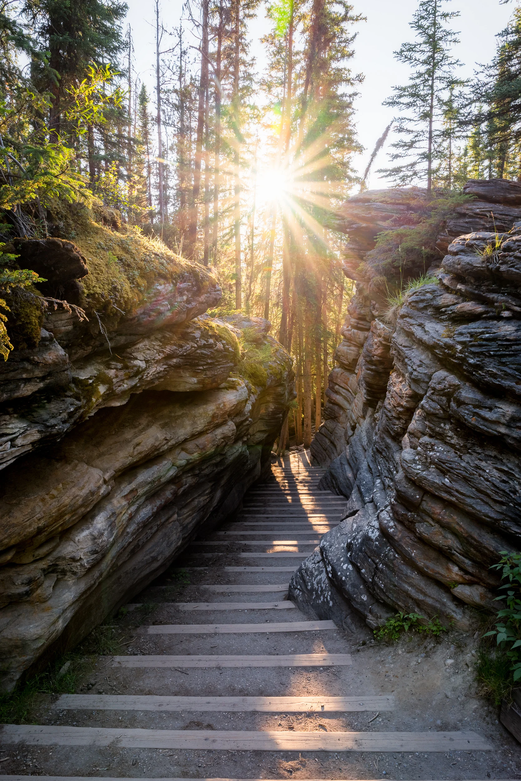 2017-07-07_Jasper_0008-HDR-Edit.jpg