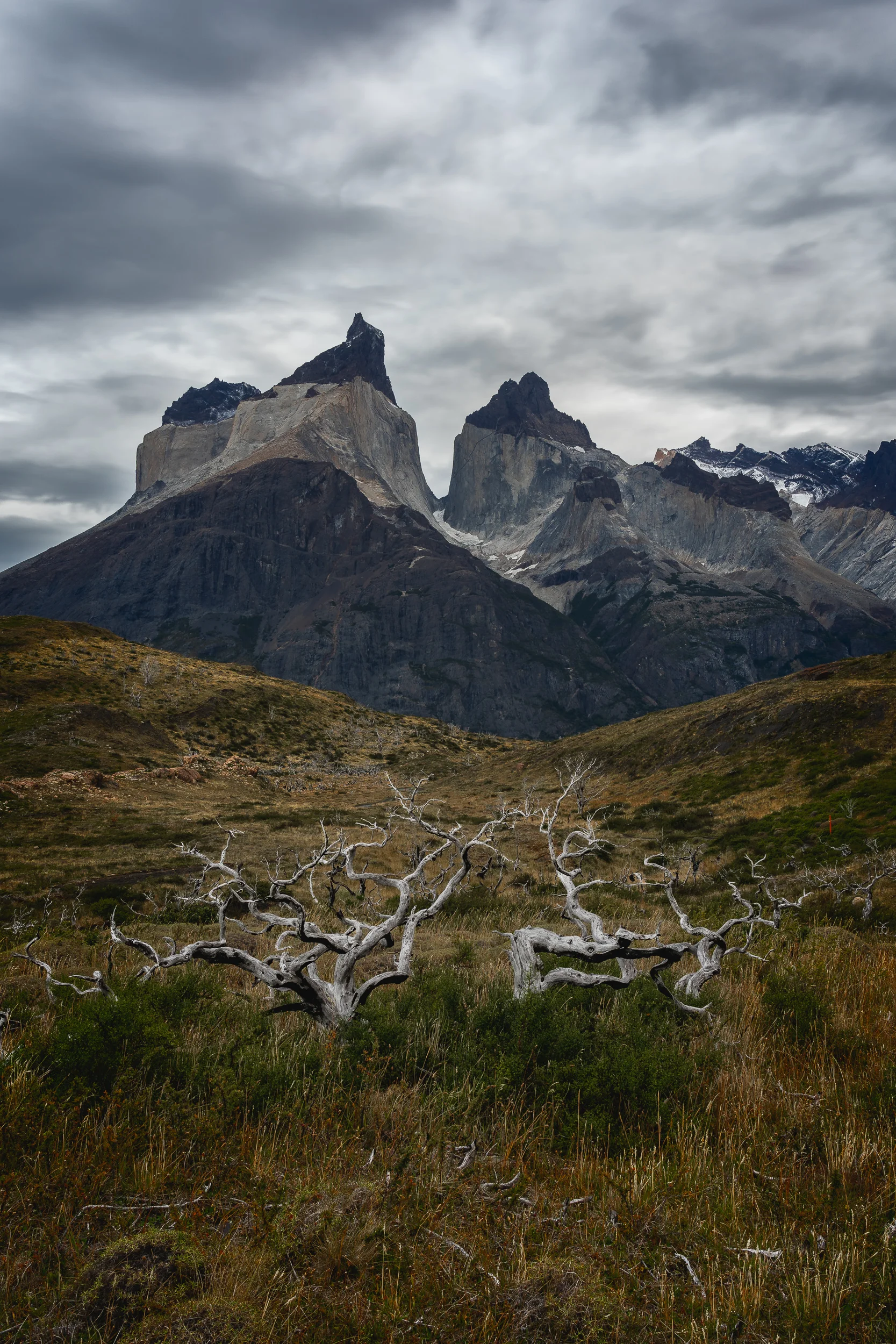 001 - 2019-03-21_Patagonia_2487-Edit.jpg