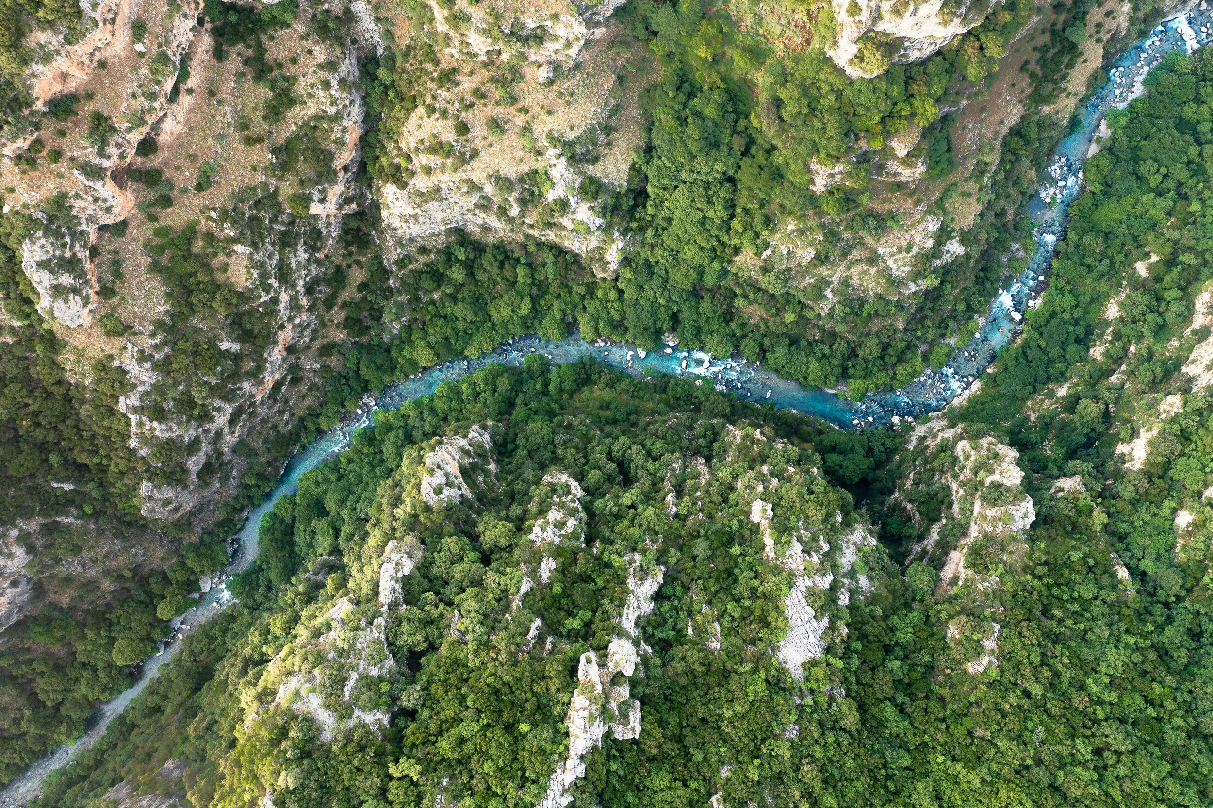 004 - DJI_0461.jpg