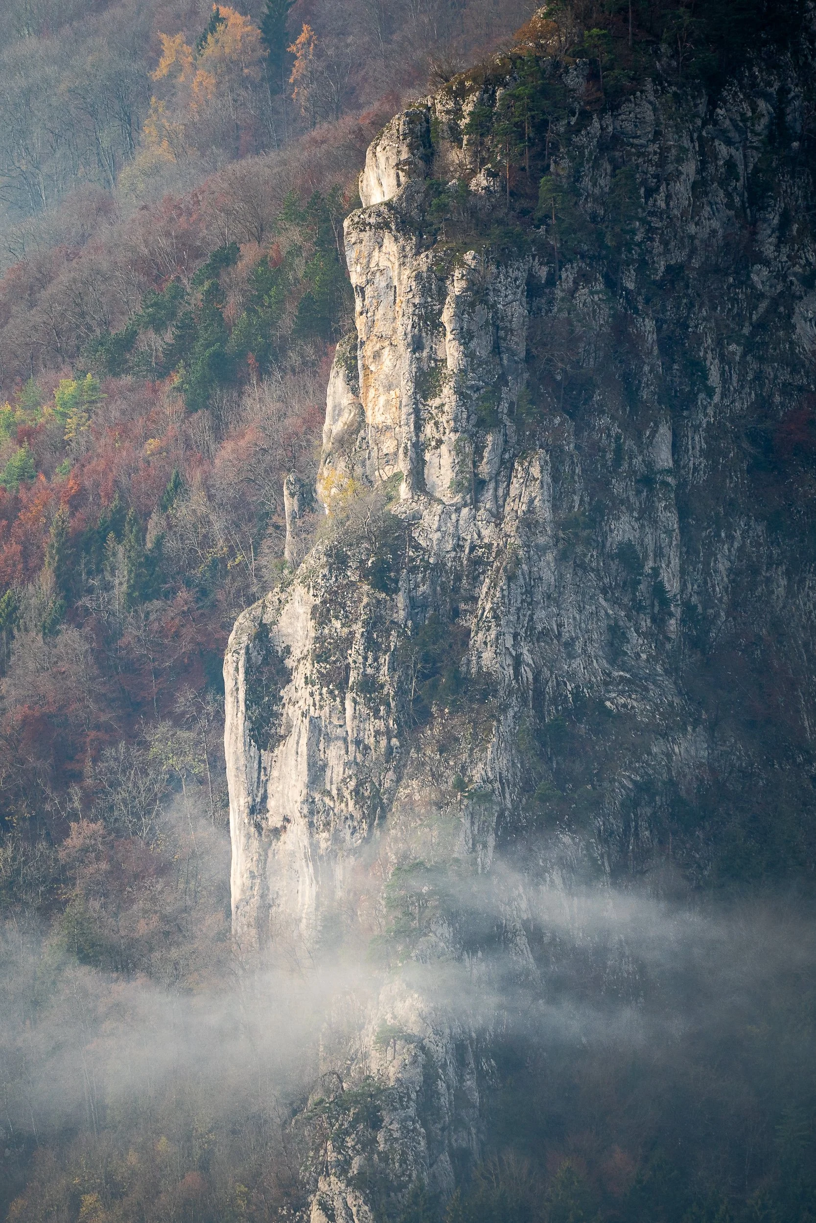 017 - 2019-11-24_roggenfluh_0023.jpg