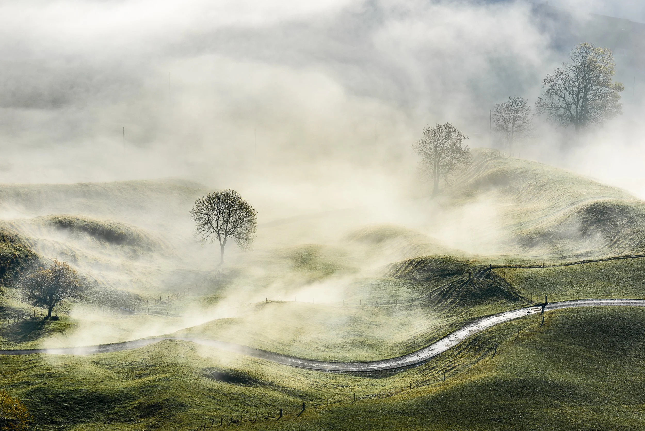 002 - 2015-10-27_passwang-fog_0216.jpg