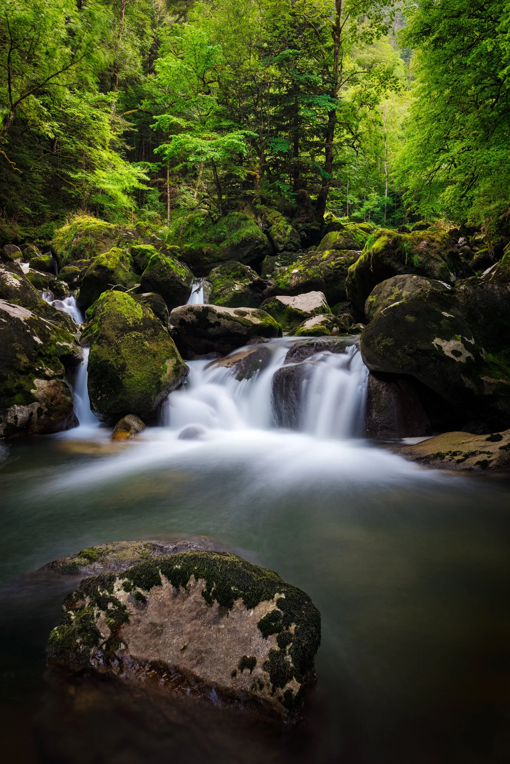 005 - 2016-07-25_gorge-areuse_0084-Edit.jpg