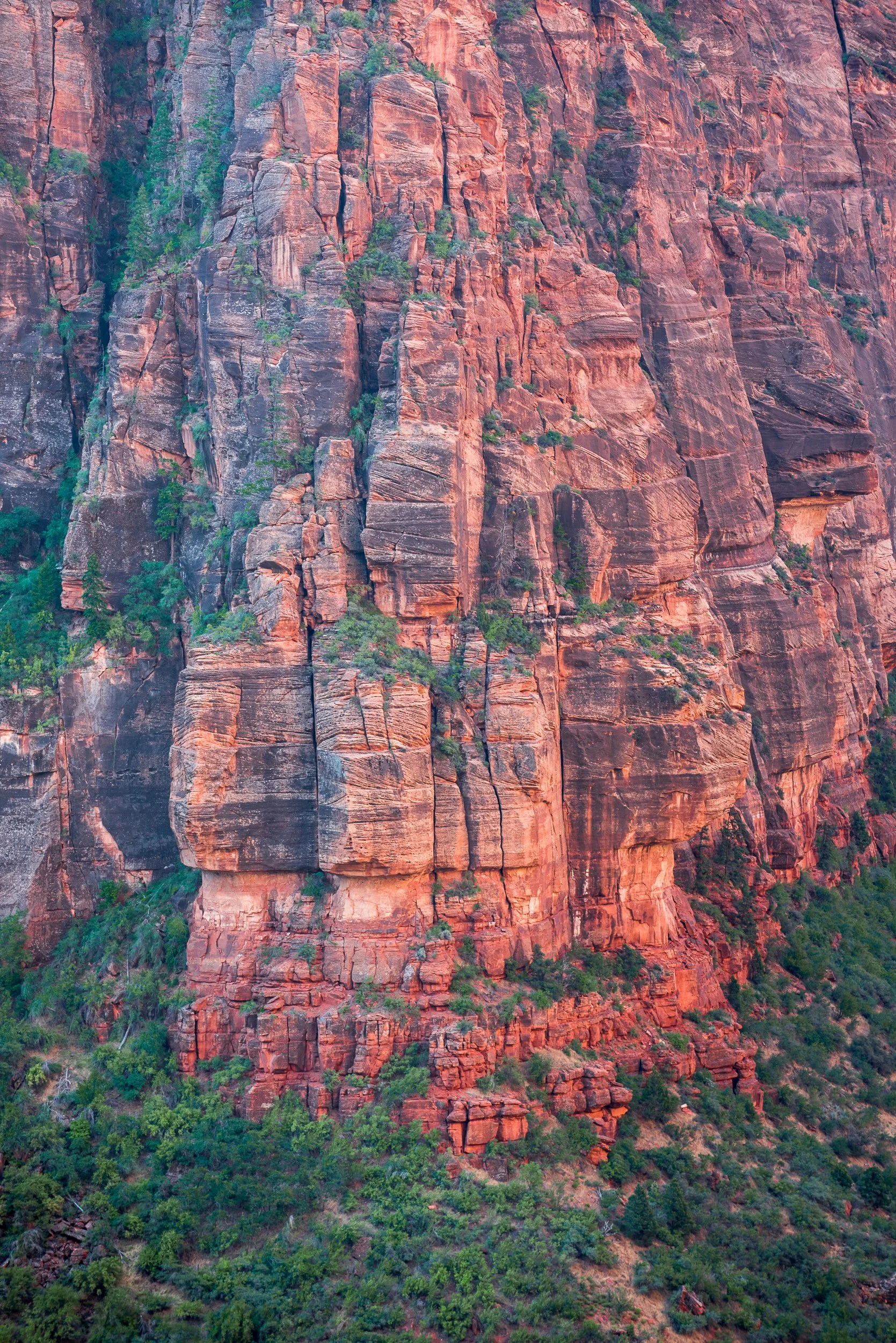 010 - 2017-08-02_Zion_0198.jpg