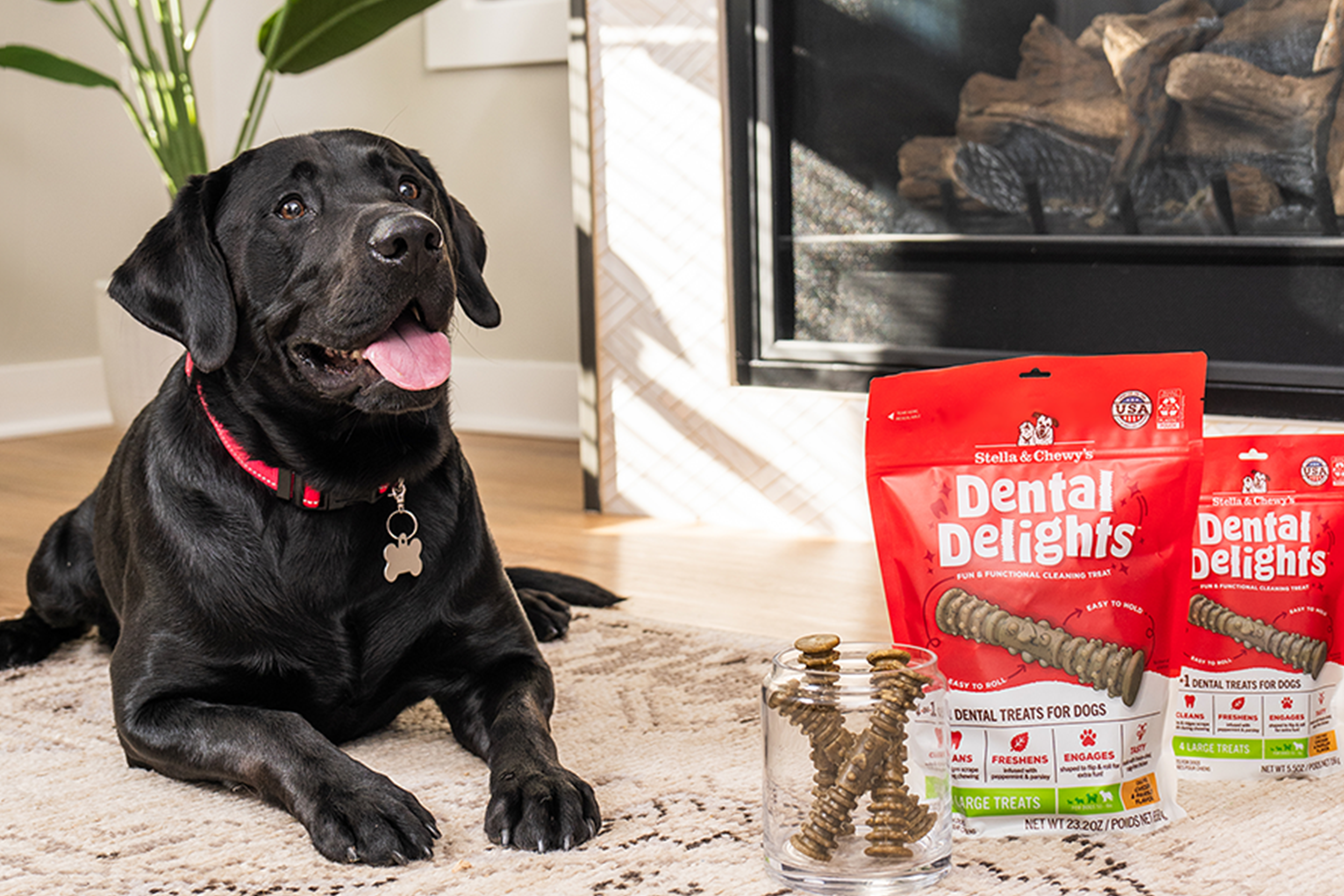 Dog with Dental Delights