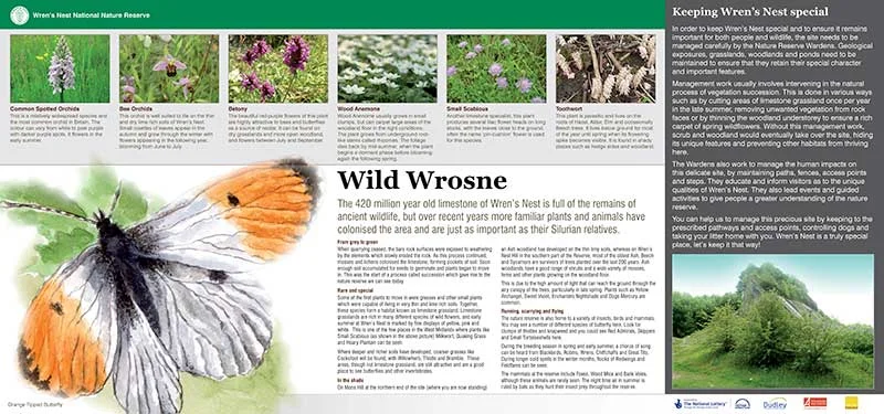 wrosne-wildlife-1.jpg