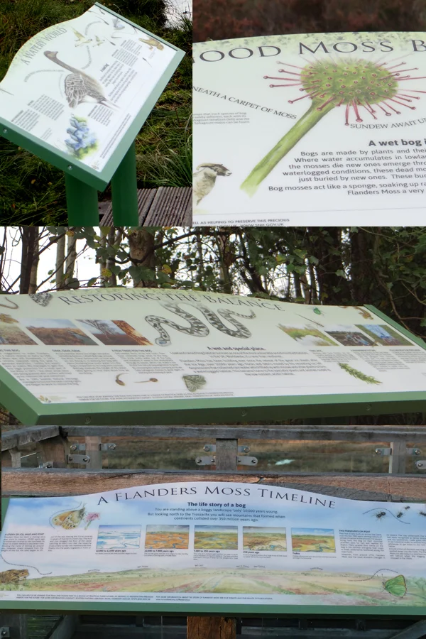 flanders-moss-interpretation-panels.jpg