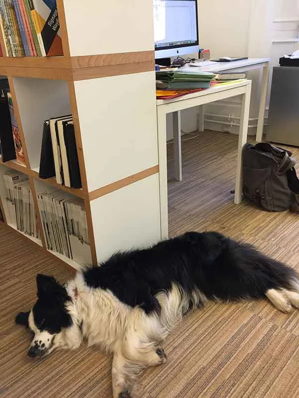 Jess helping with studio work.