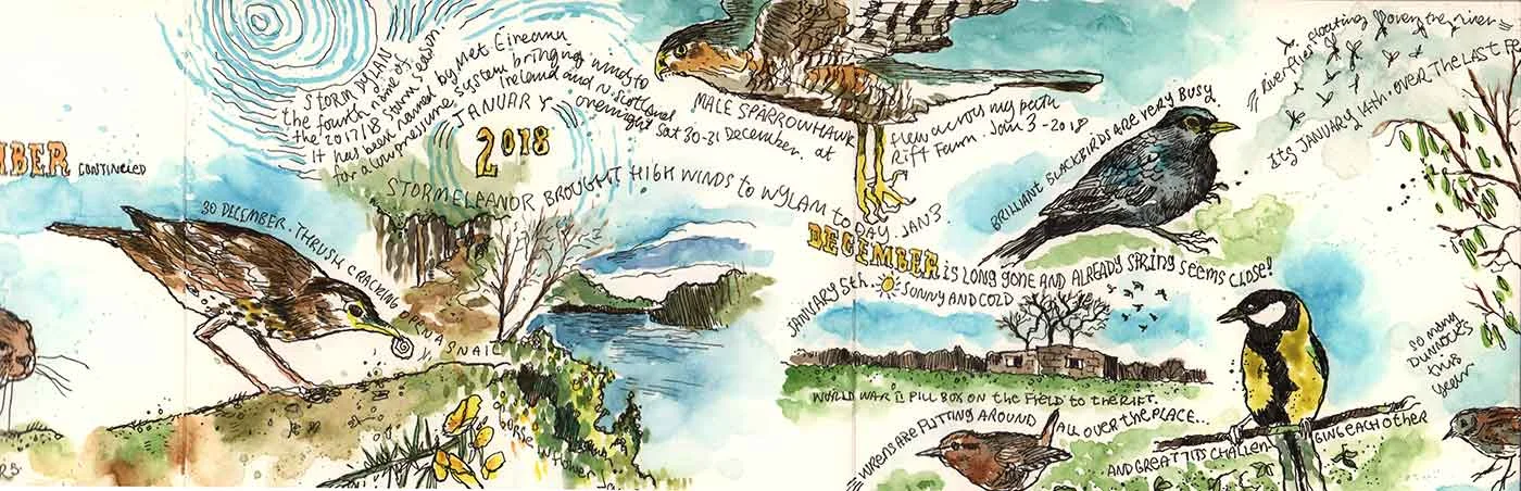 moleskine-nature-03.jpg