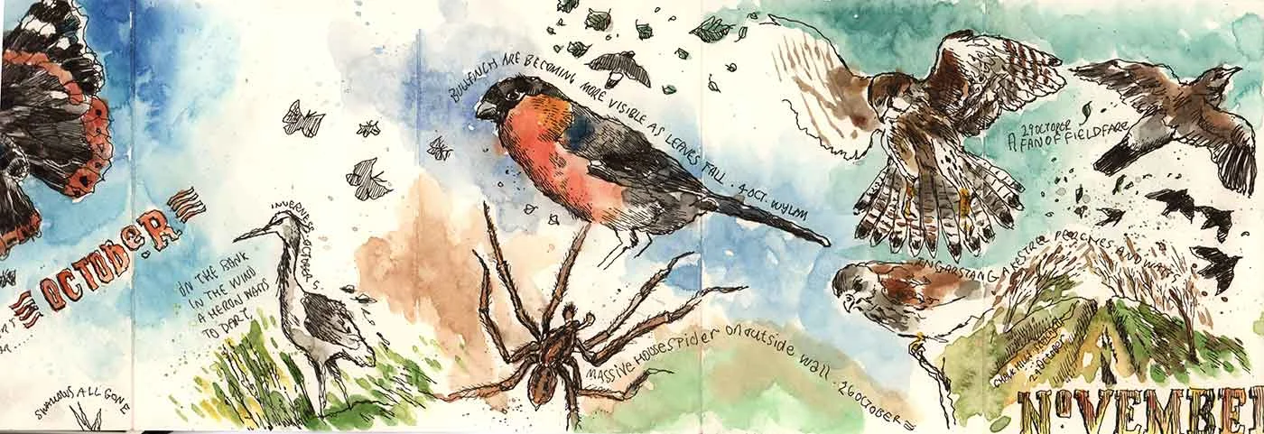 moleskine-nature-04.jpg