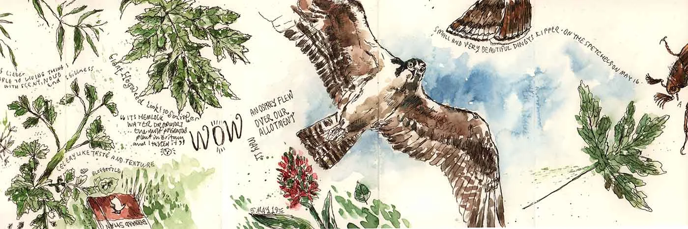 moleskine-nature-05.jpg