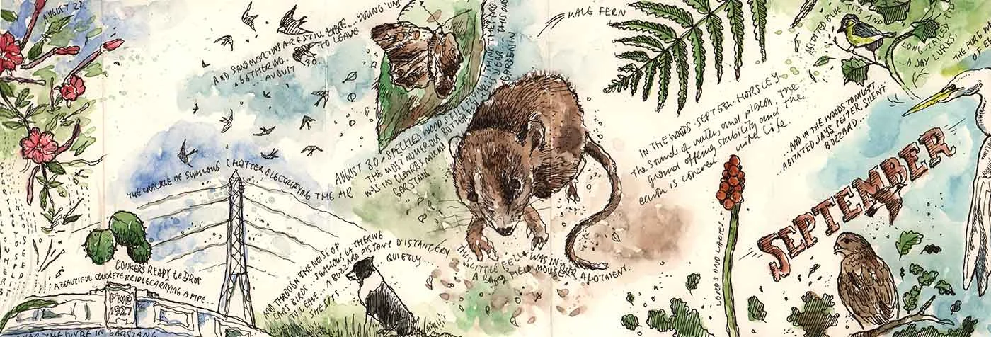 moleskine-nature-06.jpg