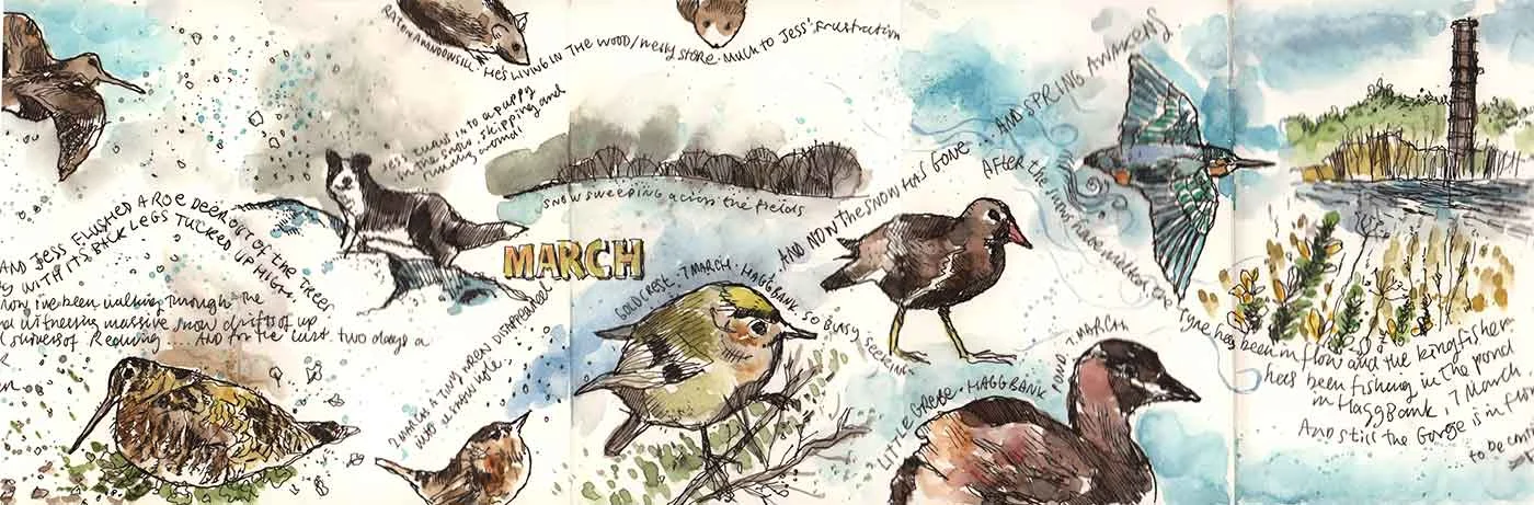 moleskine-nature-07.jpg
