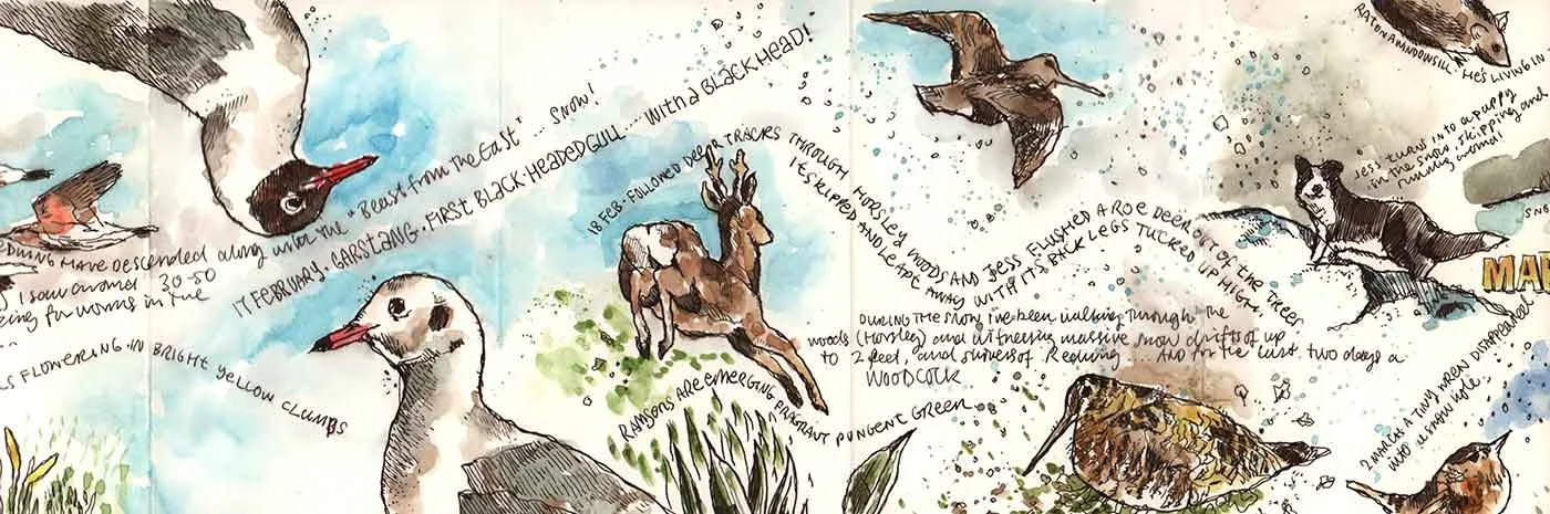 moleskine-nature-08.jpg