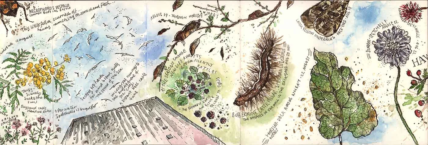 moleskine-nature-09.jpg