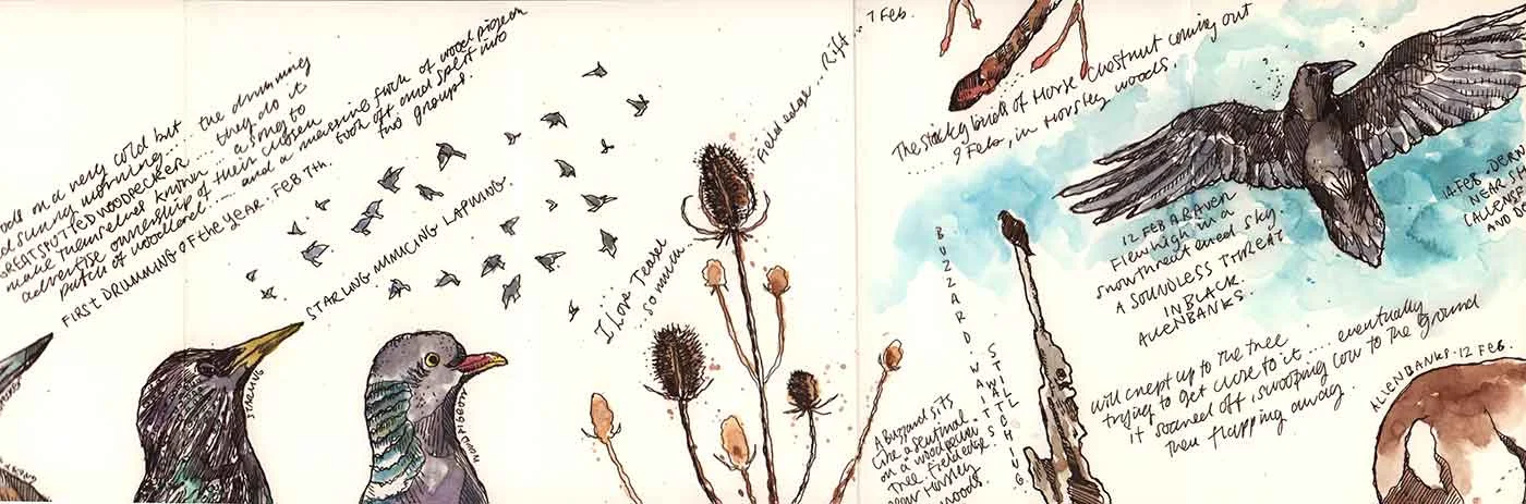 moleskine-nature-12.jpg