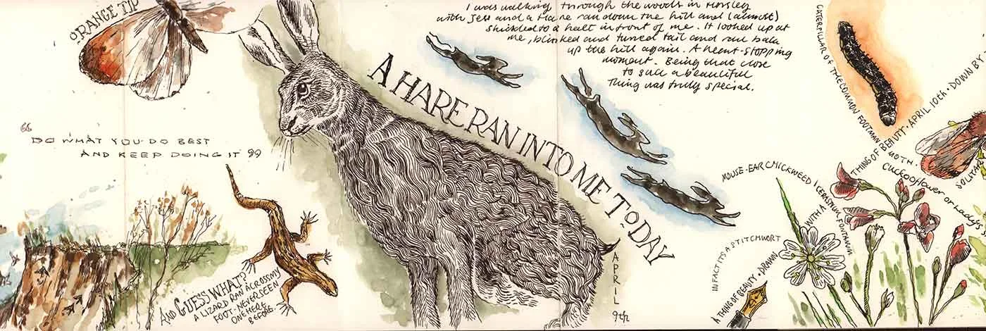 moleskine-nature-13.jpg