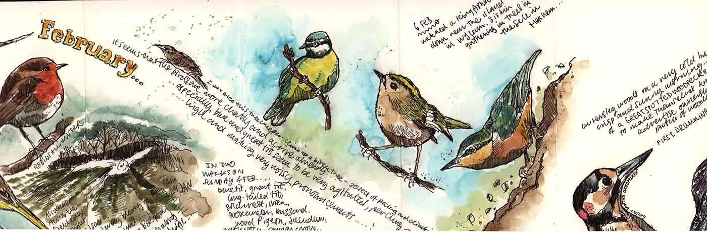 moleskine-nature-14.jpg