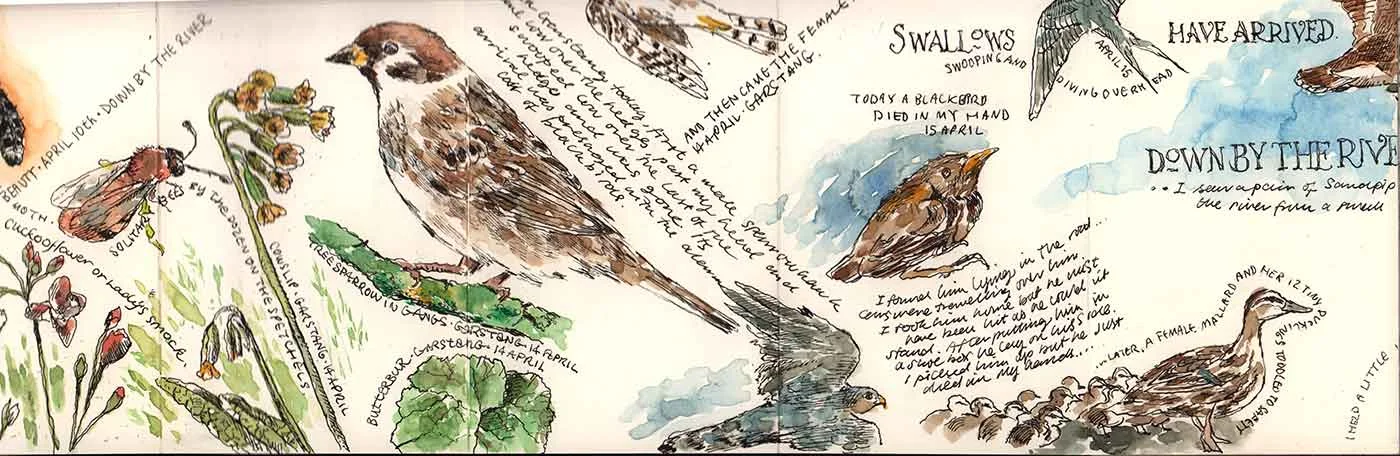 moleskine-nature-15.jpg