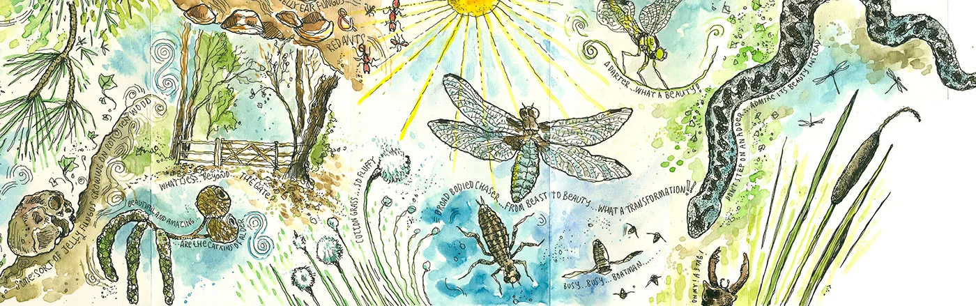 Greenways nature journey - Wokingham.