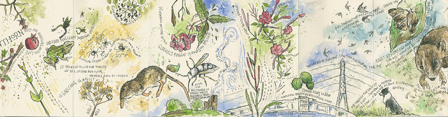 book-3-panel-2.jpg