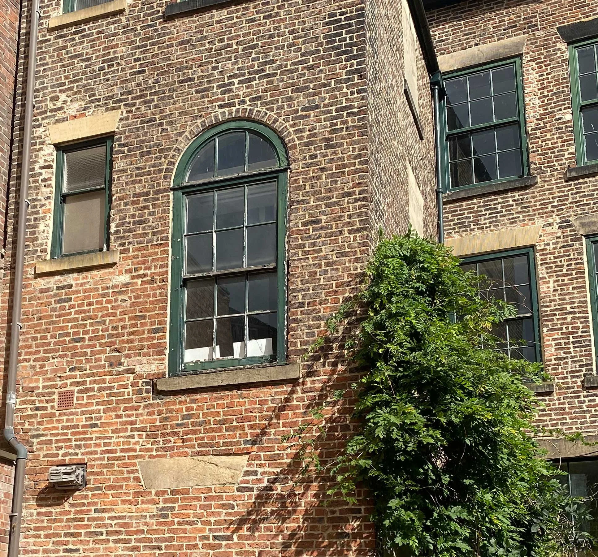 hods-0013.jpg