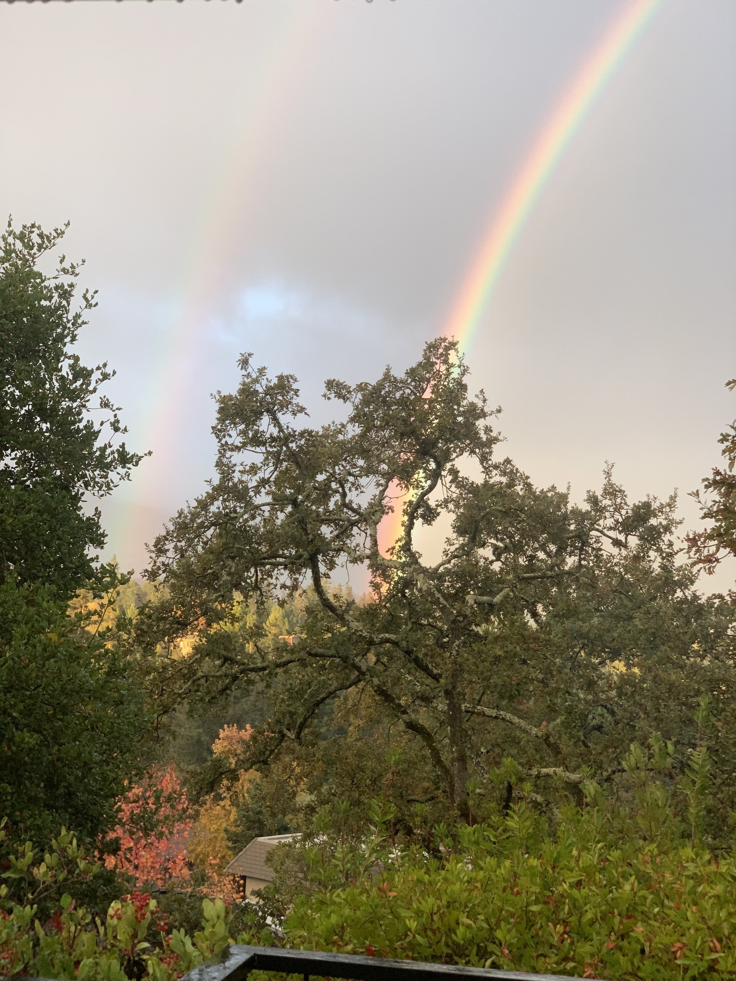 2018-11-22 07.15.34.jpg