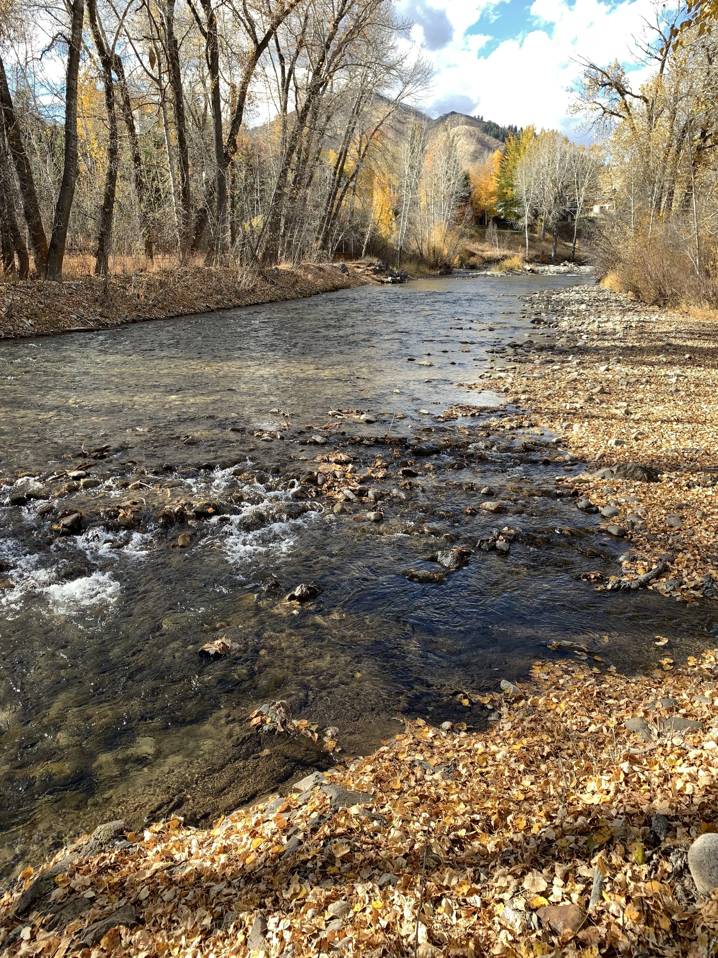 2018-10-22 15.25.54.jpg