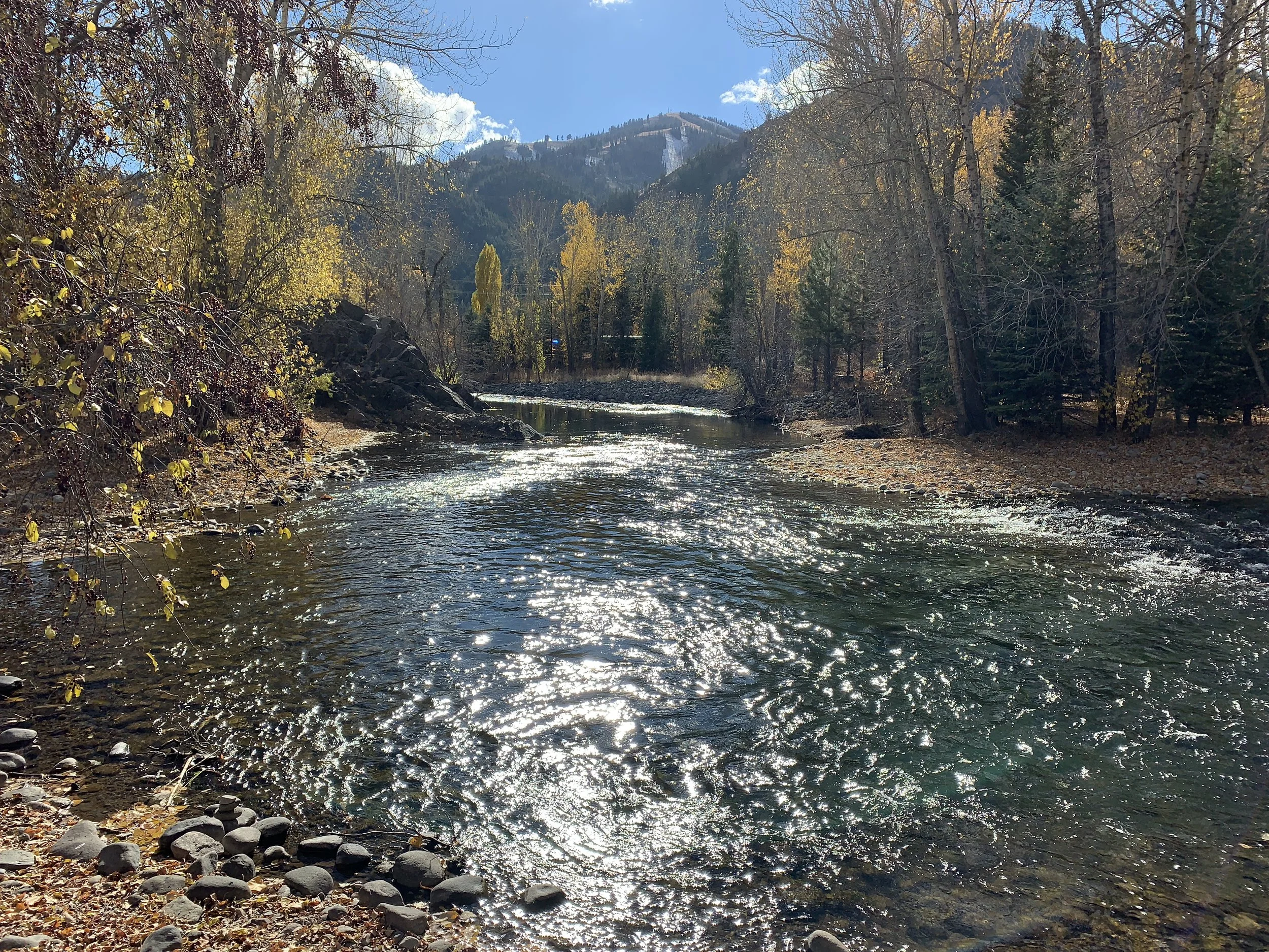 2018-10-22 15.23.45.jpg