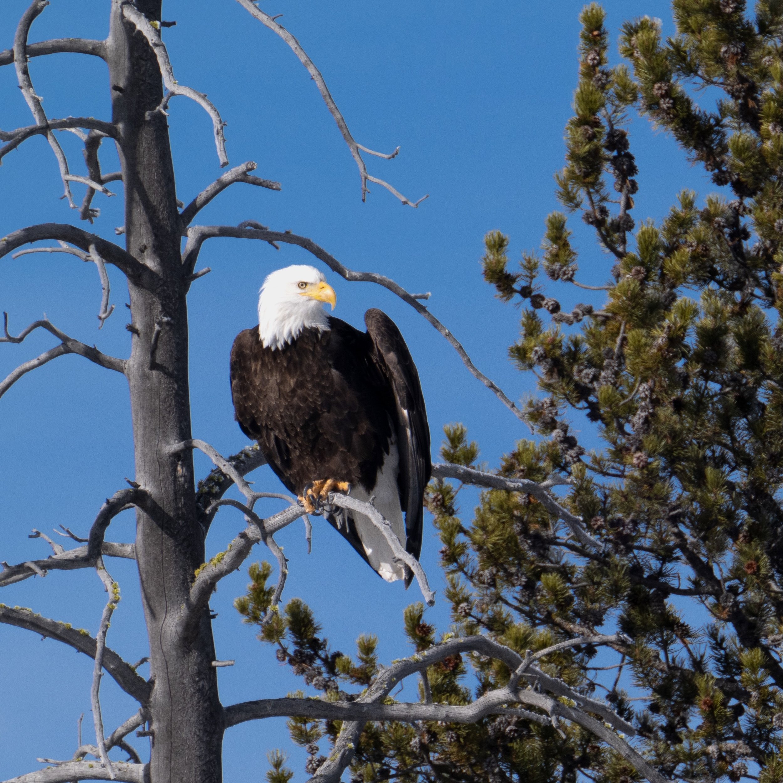 _DSC1281.jpeg