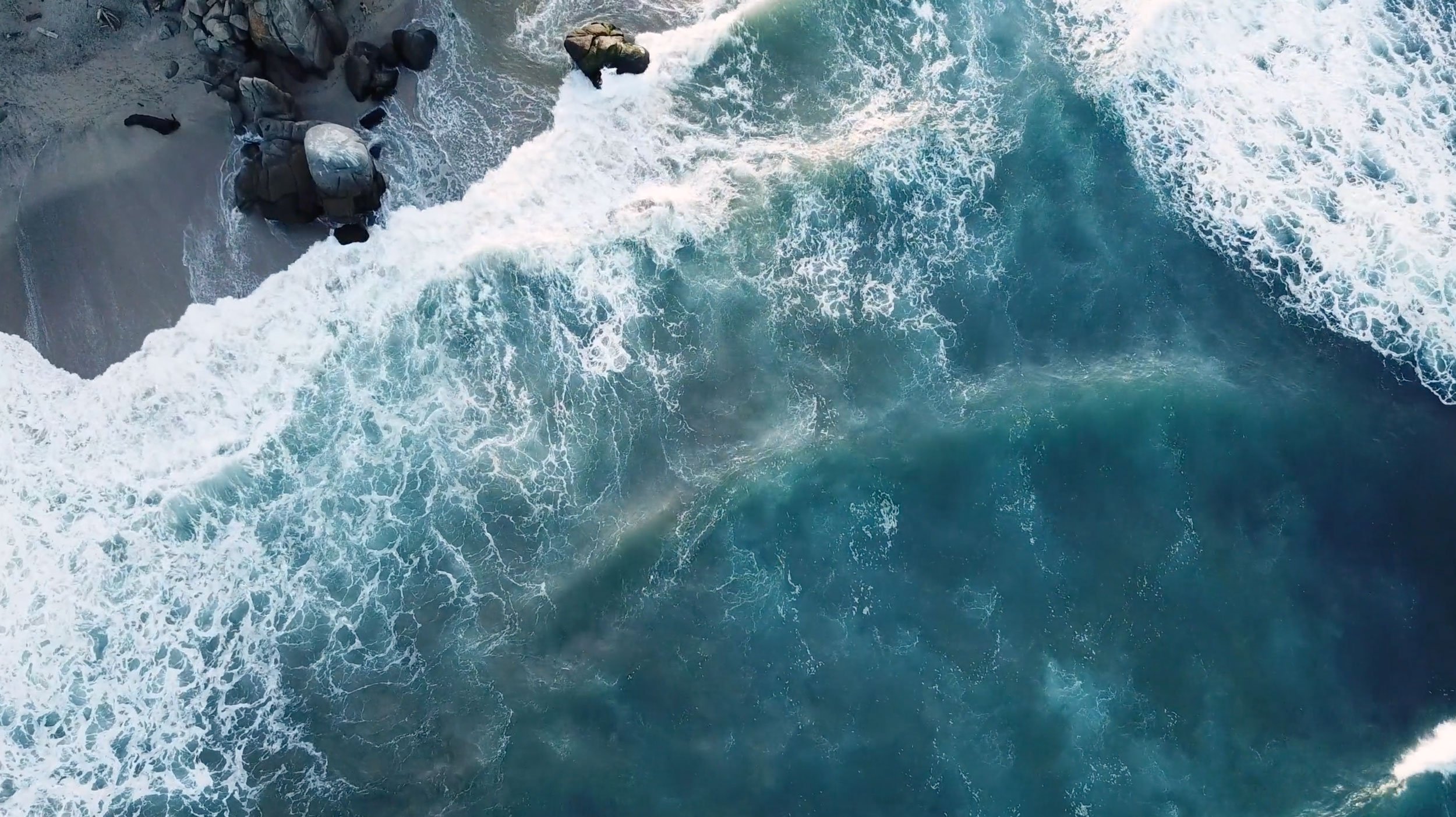 flow-game-video-still-backdrop.jpg