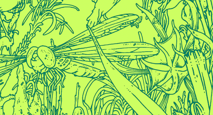 (image via Work in Progress )