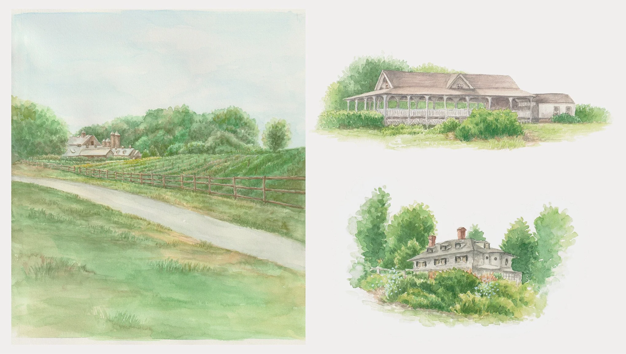 Wedding invitations - settings