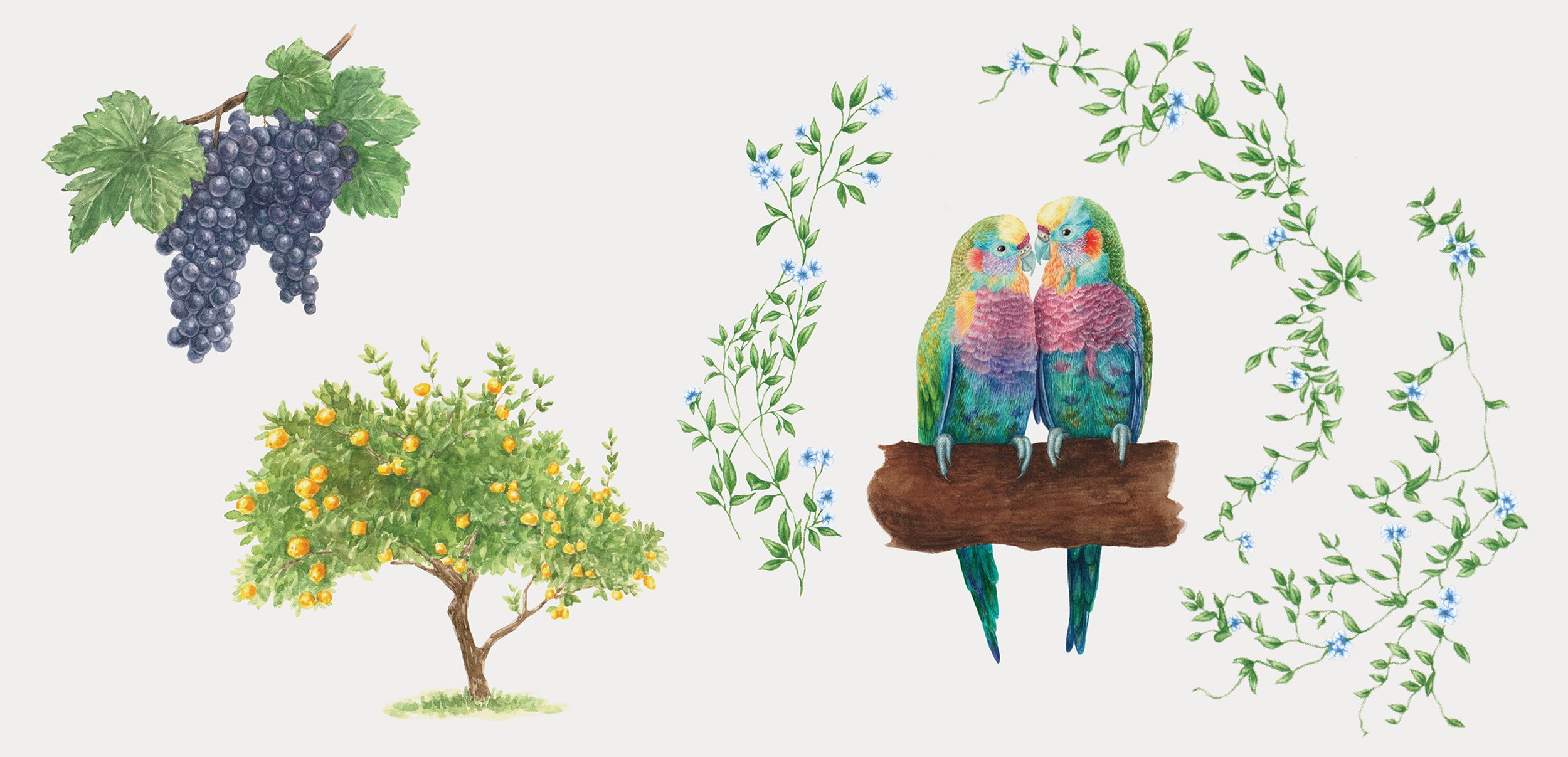 Wedding invitations - plants & animals