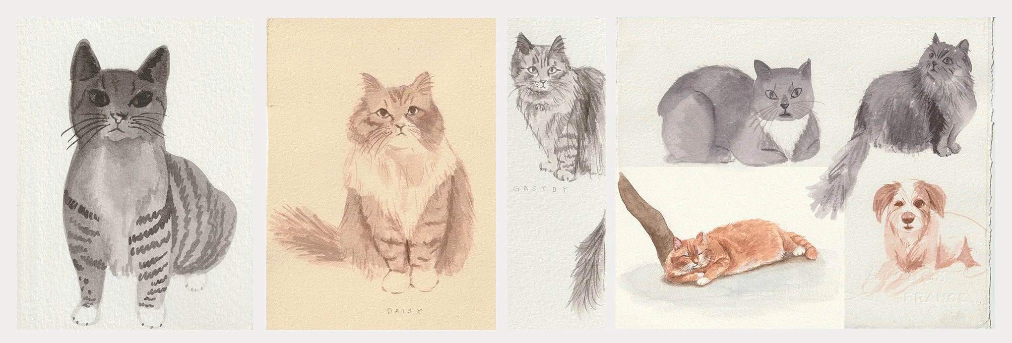 Pet portraits - style 2