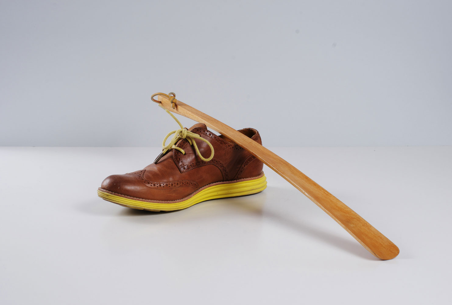 Shoehorn_Others_01.jpg