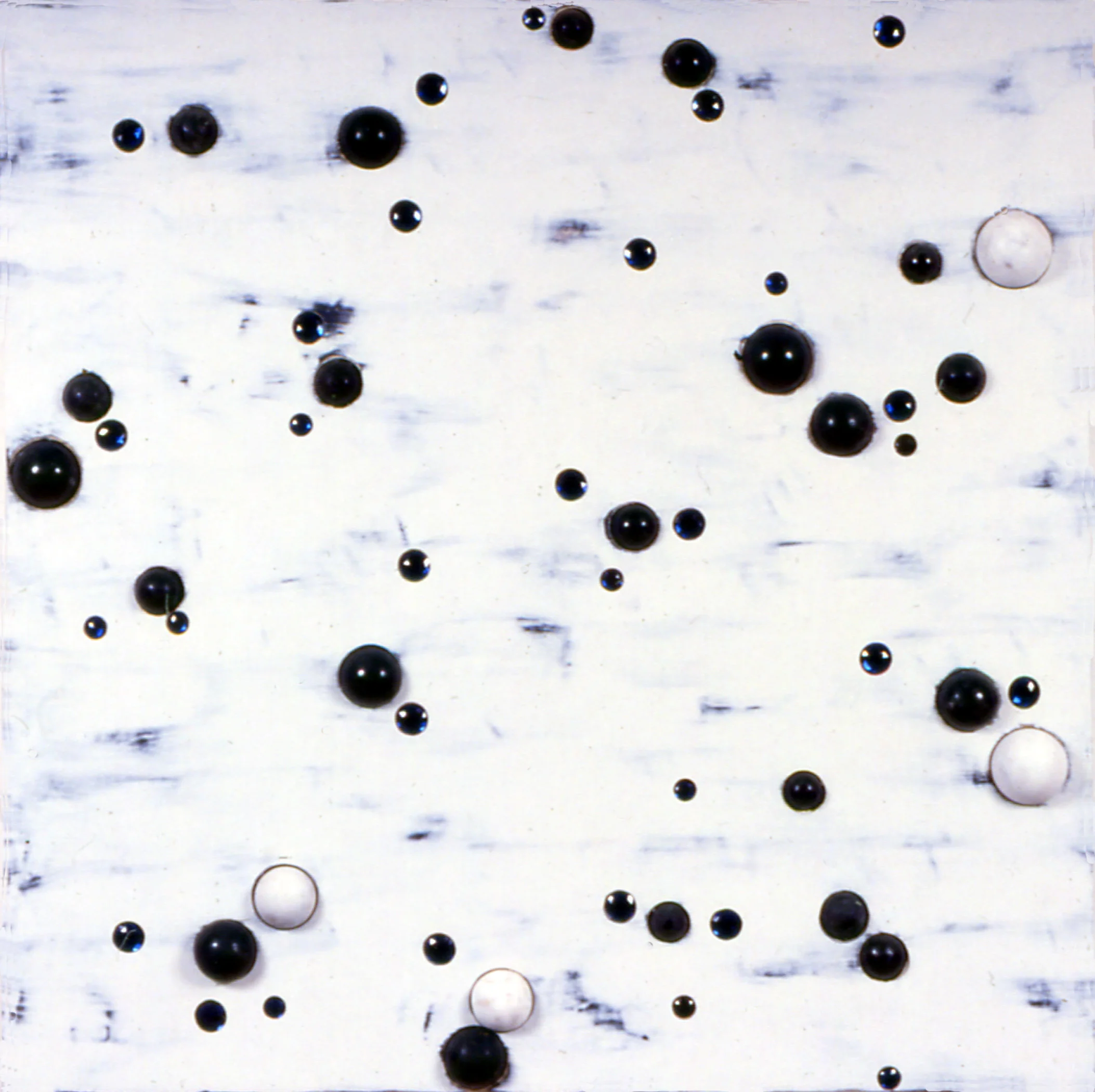 White with Black Balls and Blue Eyes