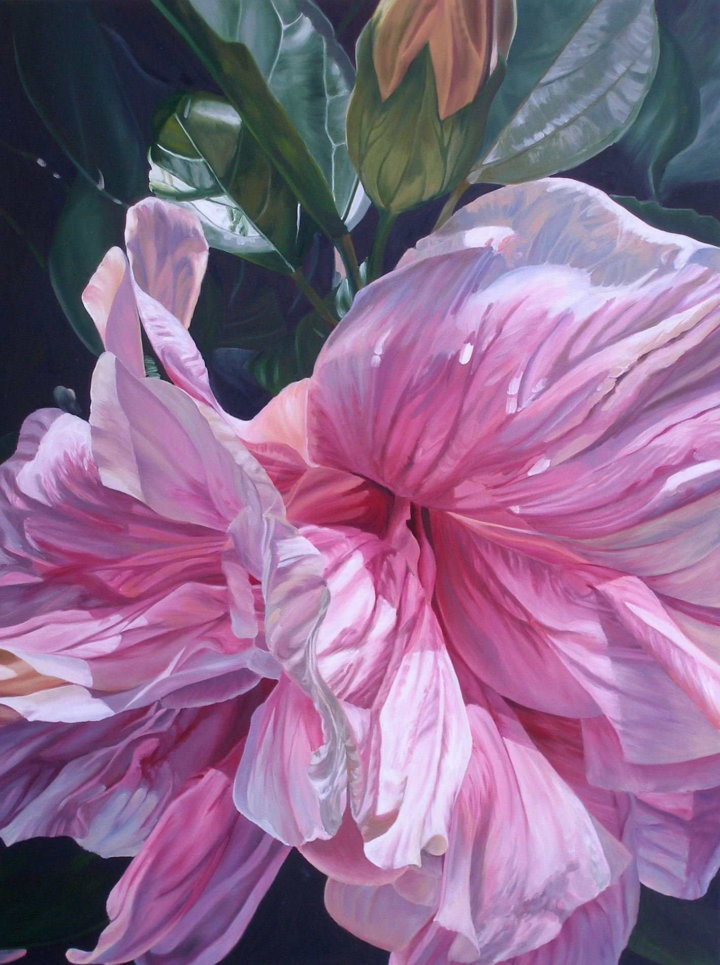 Abounding Exuberance