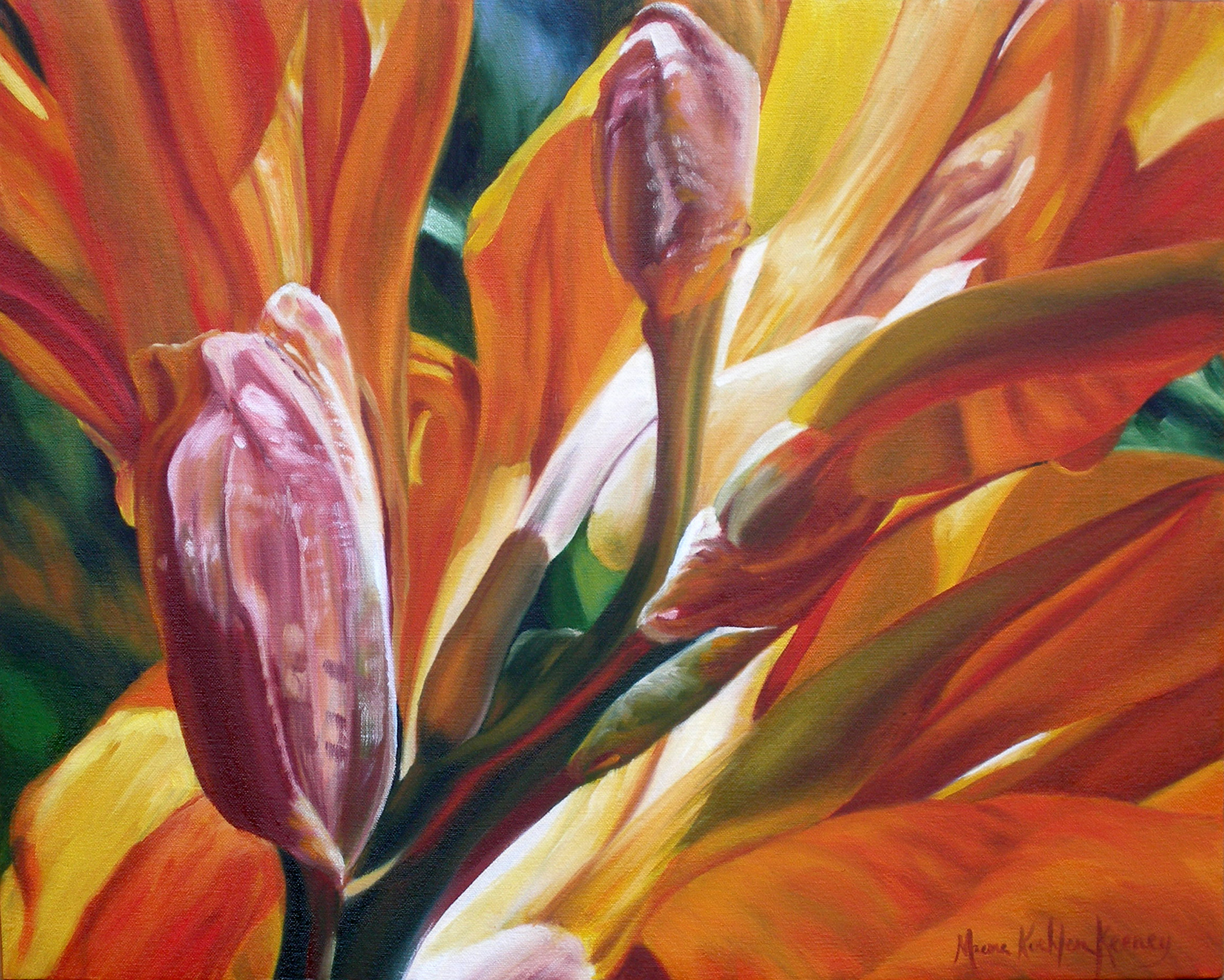 Canna Promises