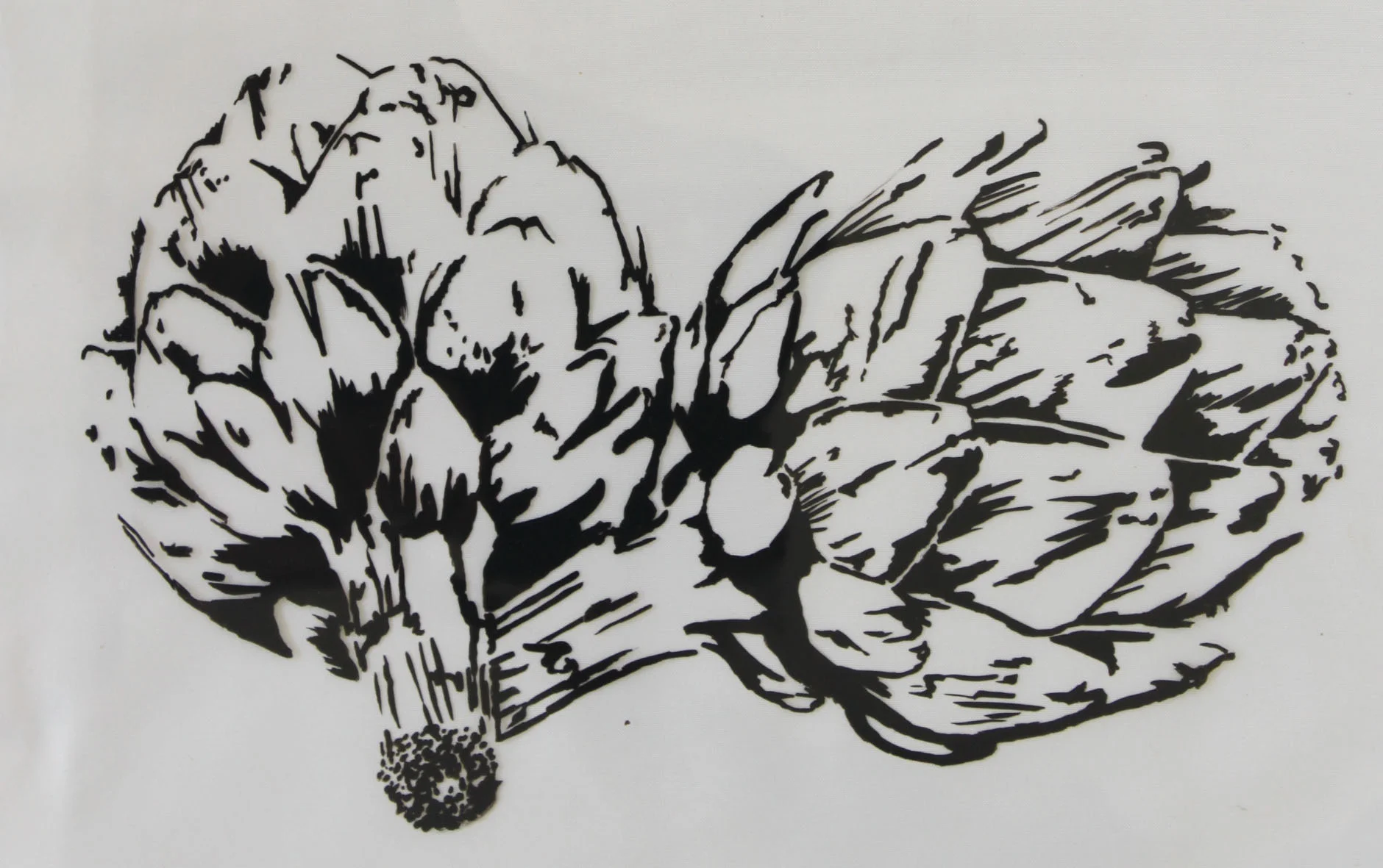  acetate stencil drawing 