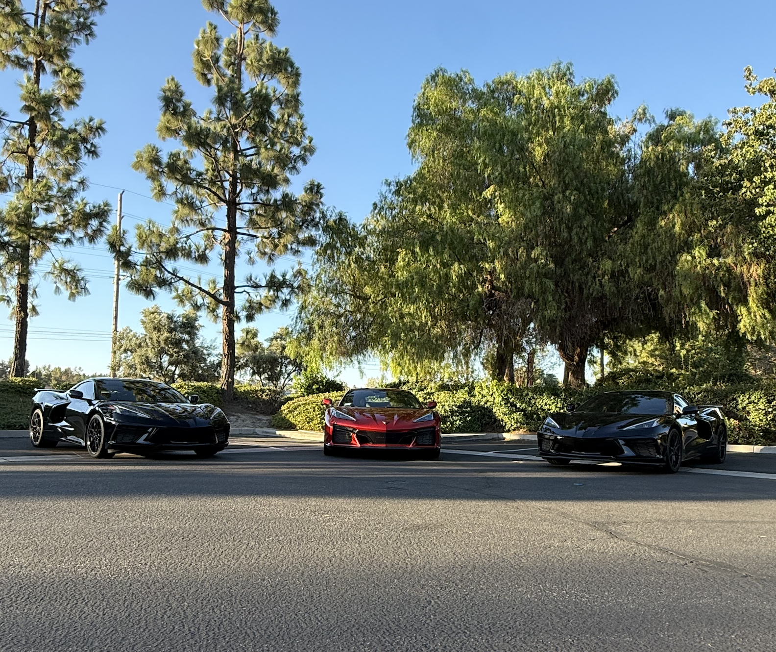 Ceramic Coating Corvette Temecula 