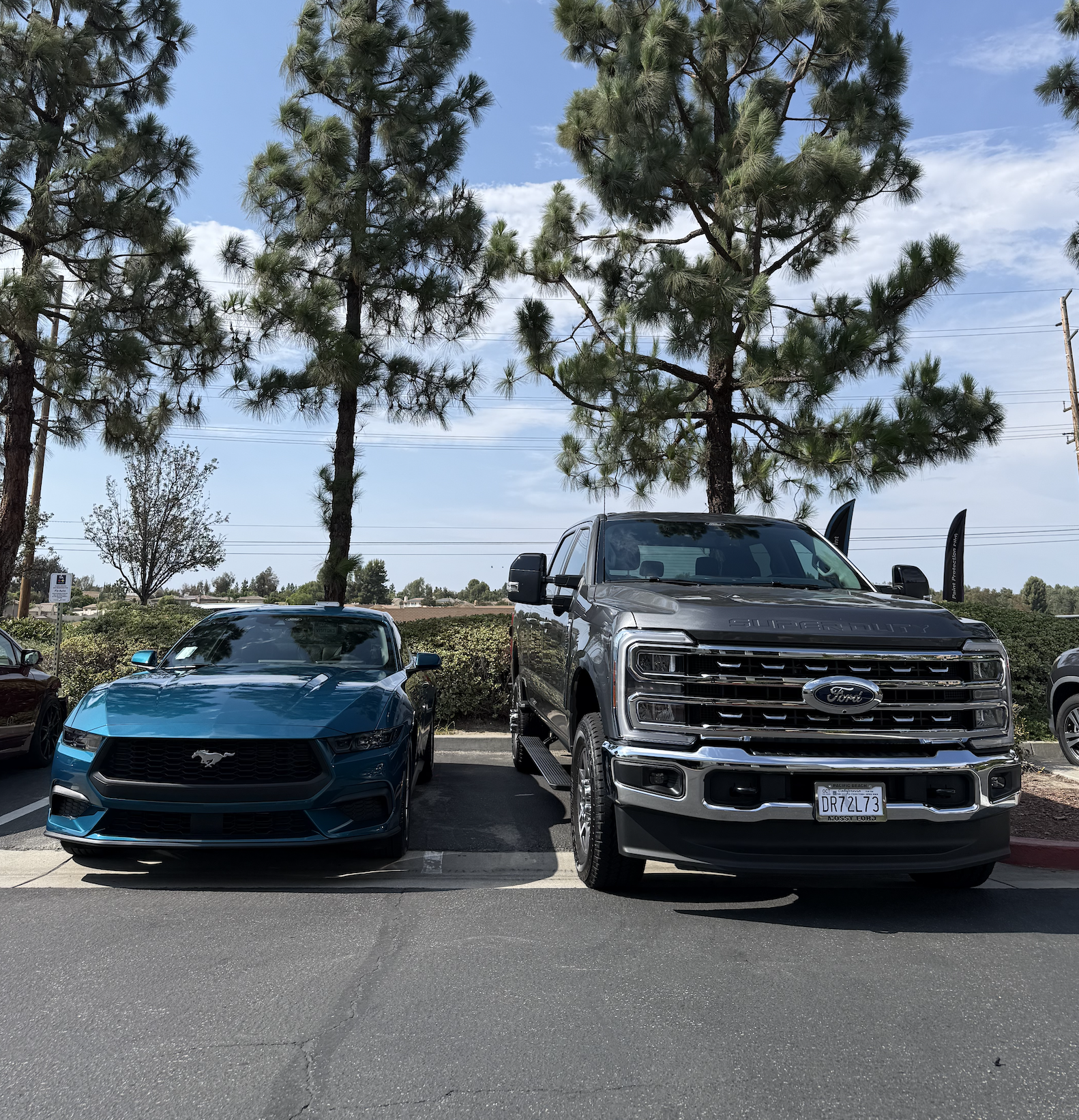 Paint Protection Film PPF Ford 
