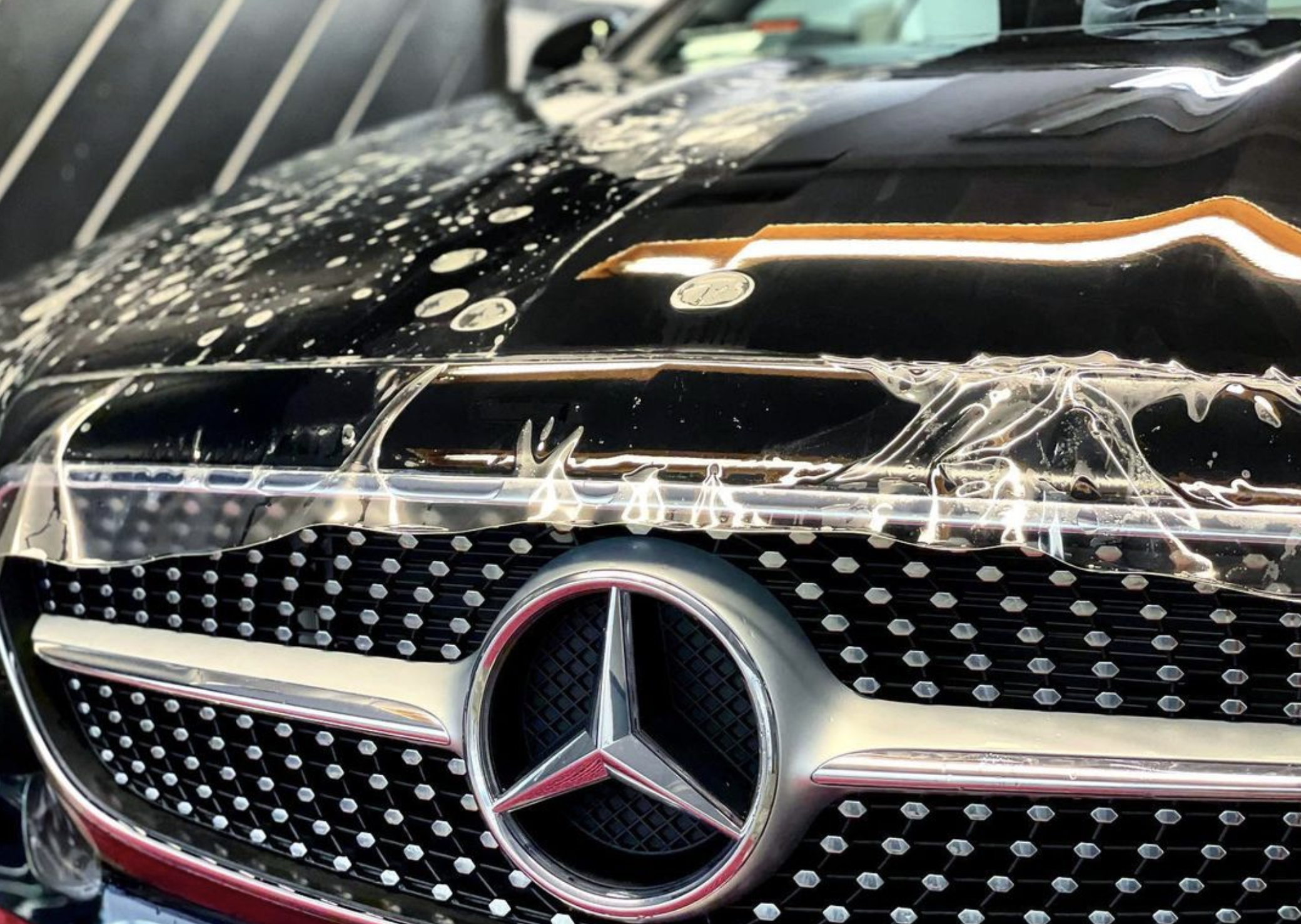 Screen Shot 2023-02-28 at 12.46.20 PM.png