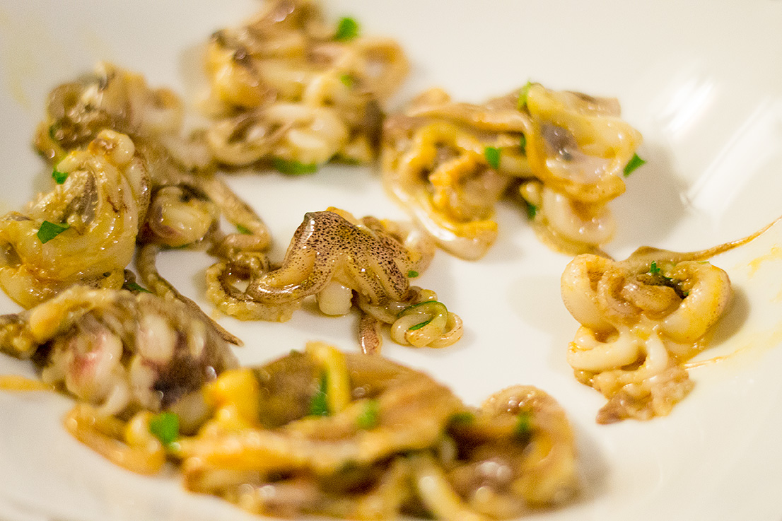 This Squid is good to go!