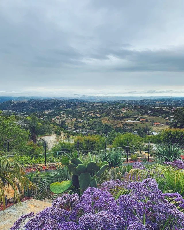 California Dreamin&rsquo; 🙇&zwj;♂️.
.
.
.
.

#travelphotography #travel #travelgram #photography #travelblogger #nature #wanderlust #photooftheday #instatravel #travelling #ig #traveling #naturephotography #instagood #landscape #picoftheday #travell