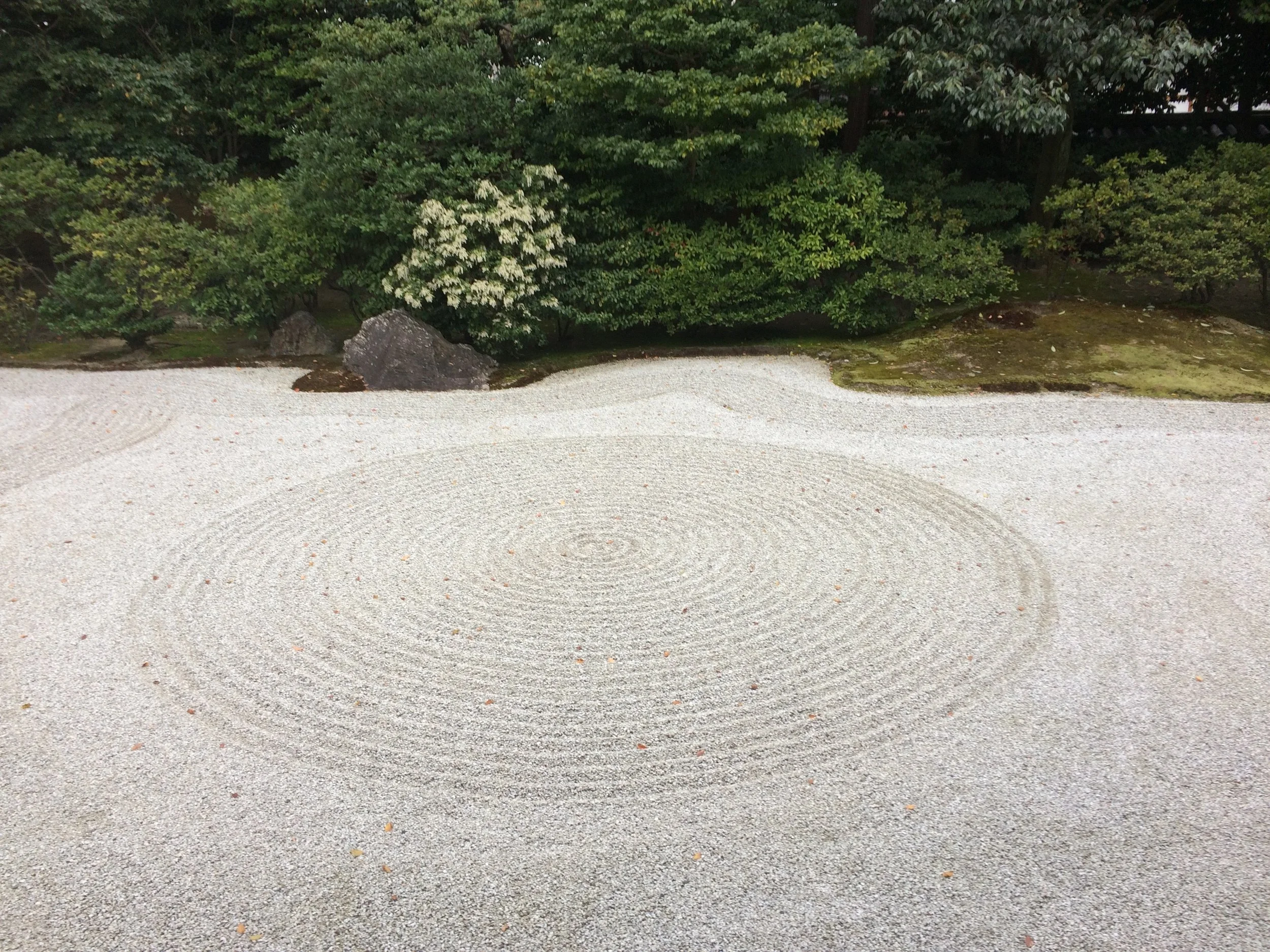 Meditación Zen Chula Vista 