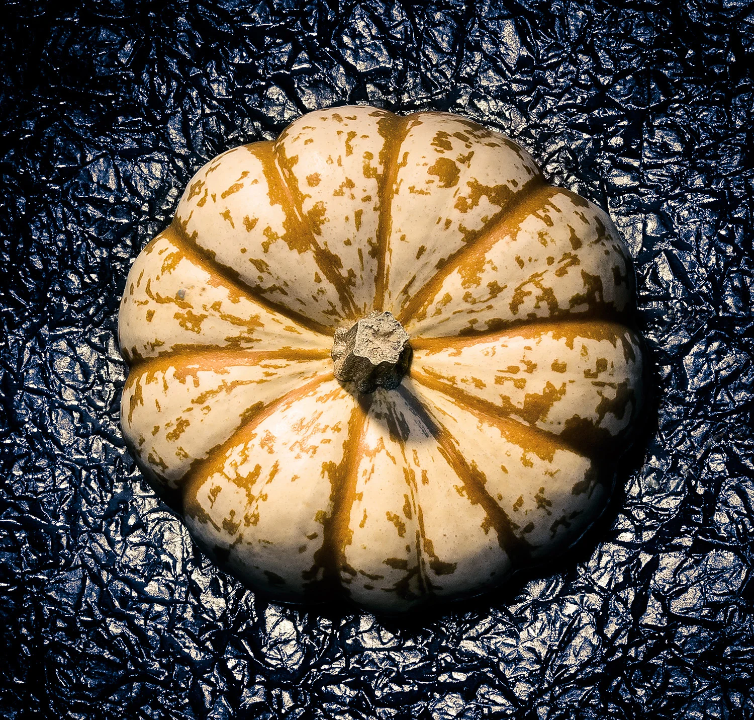 Pumpkin-15.jpg