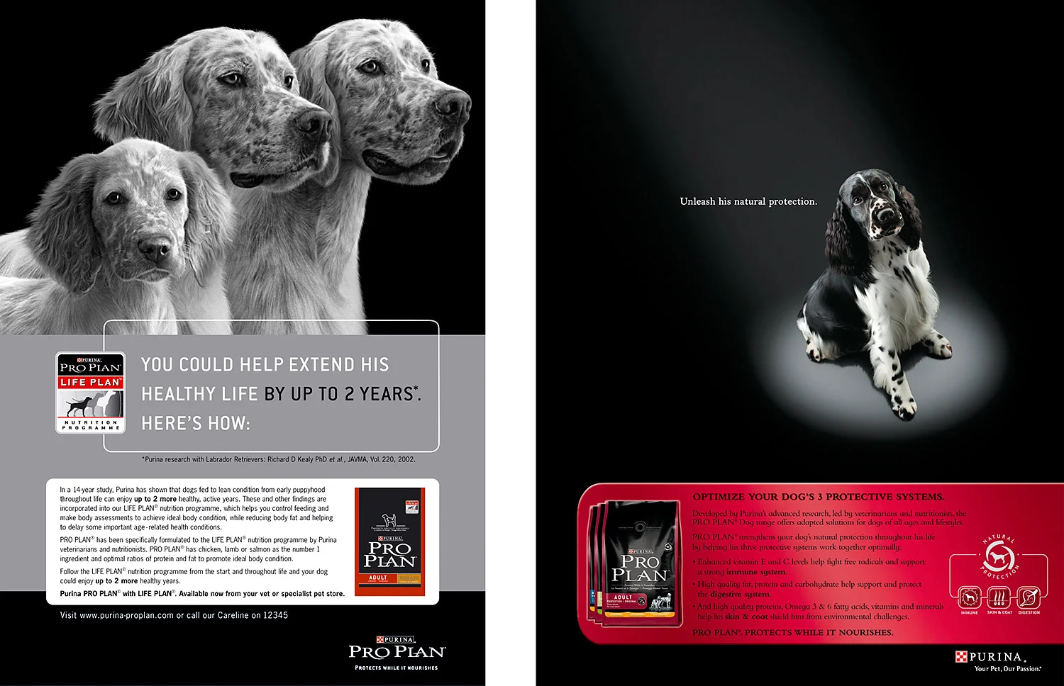 Purina