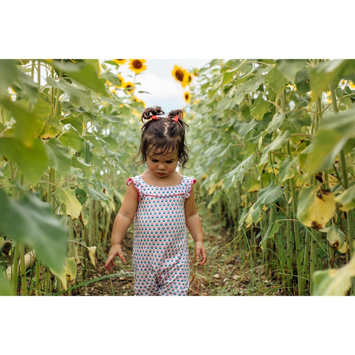 Enjoying these days with my tiny family. Also, @theberryfarms is the PERFECT setting for a shoot. 10/10 recommend. So many beautiful backdrops. They did a fantastic job making a new space for enjoying the outdoors with your family. Can&rsquo;t wait f