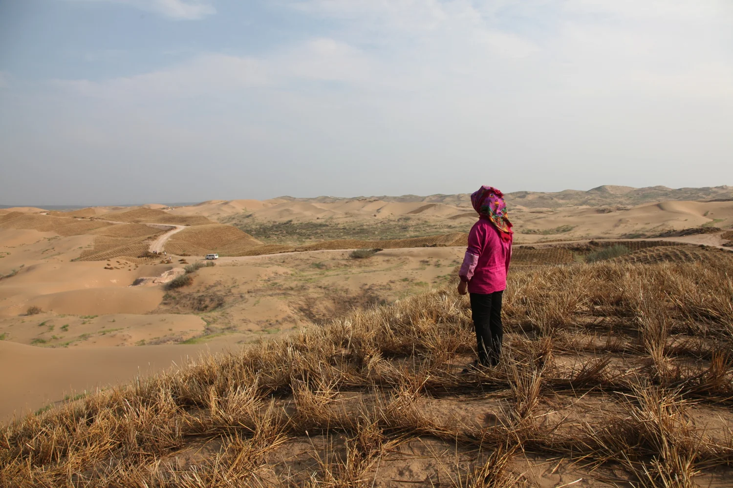 9_Ningxia_Desert.jpg
